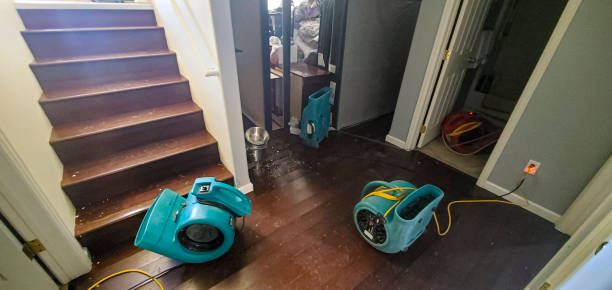Best Commercial water damage restoration  in Weeping Water, NE