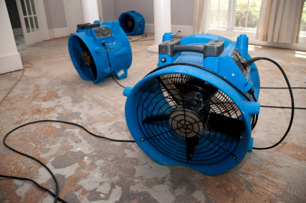 Best Water damage restoration company  in Weeping Water, NE