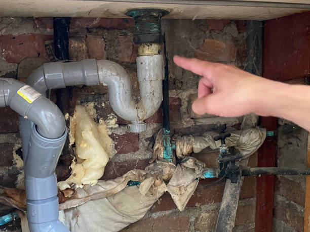 Best Carpet water damage restoration  in Weeping Water, NE