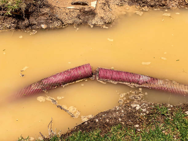 Best Sewage cleanup and water damage restoration  in Weeping Water, NE