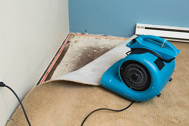 Best Commercial water damage restoration  in Weeping Water, NE